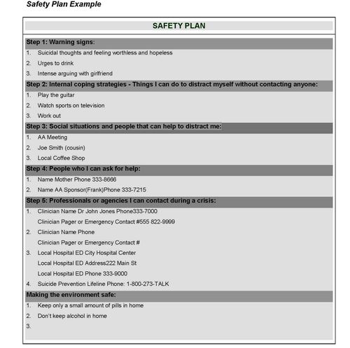 Safety Plan Example